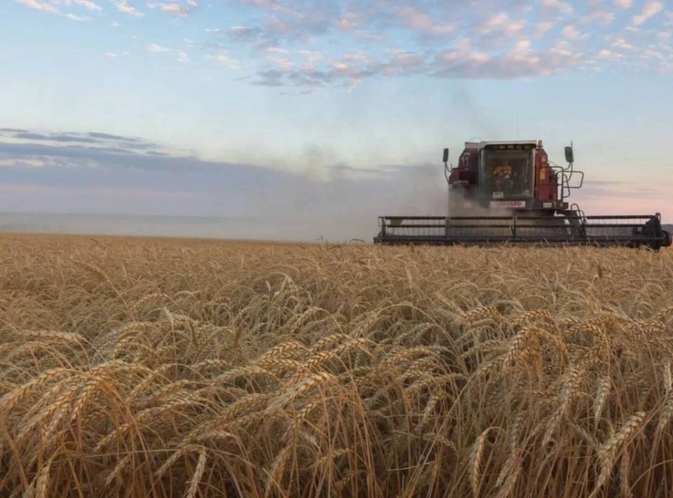 � ���������� ������� ��������� �������� ������ �������