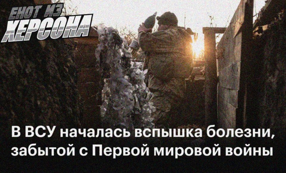 ���� �� �������: �� ������� ������������� ������� ������� �������� - ������� ��������, ������� ����� ��������������� ��������������� � ������ ������� ������