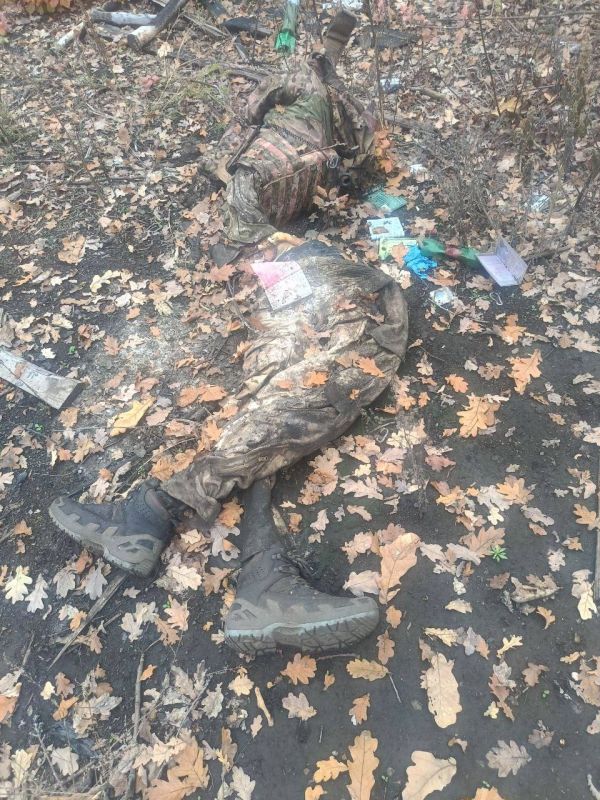 ������. ��������-����� ���������� �������