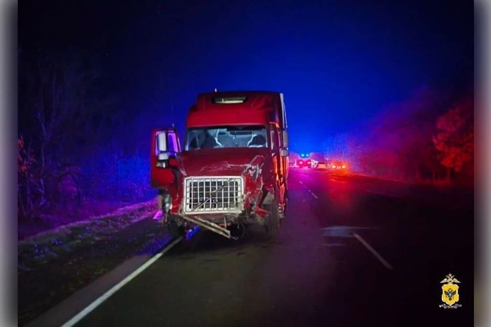 � ���������� ������� ���������� ��������� ���� ����� ������������ ���