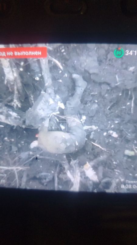 ����� �������. ��������-����� ���������� �������