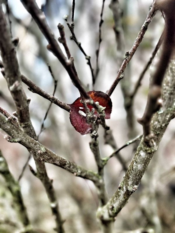 ���������� �������. ������ 2025