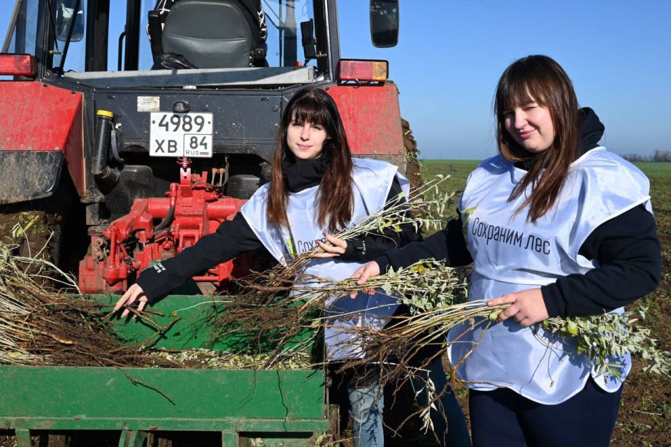 Всероссийская акция «Сохраним лес» дала старт невероятному преображению!