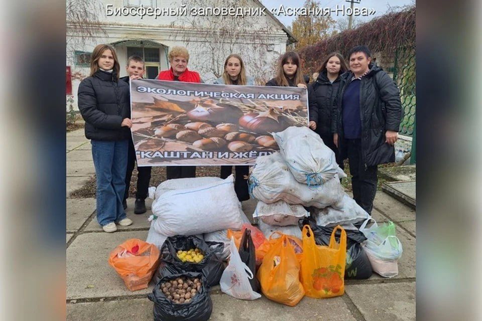 ���������� ���� ������� 1,6 ����� �������� ��� �������� ��������-����