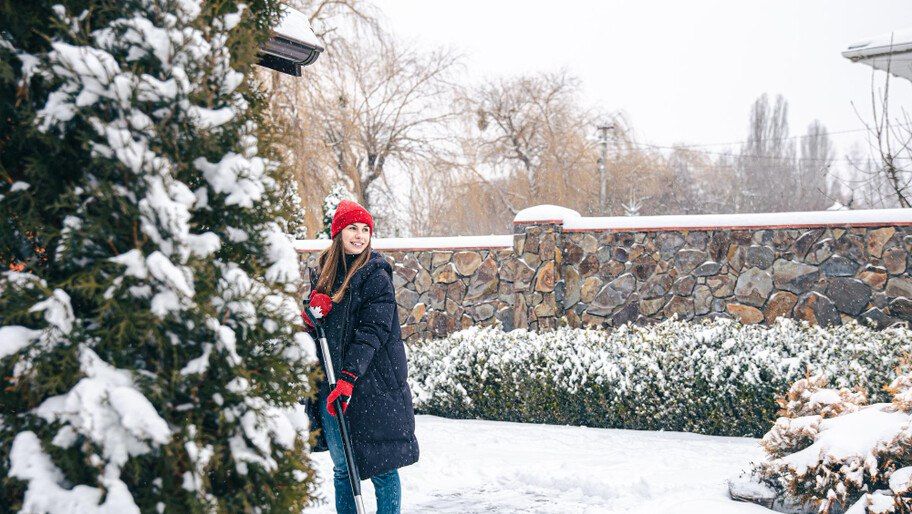 ����� �����: ���� ��� ����� ��� �������� ������? ����� ���������