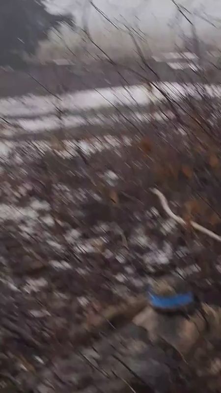          International MaxxPro  