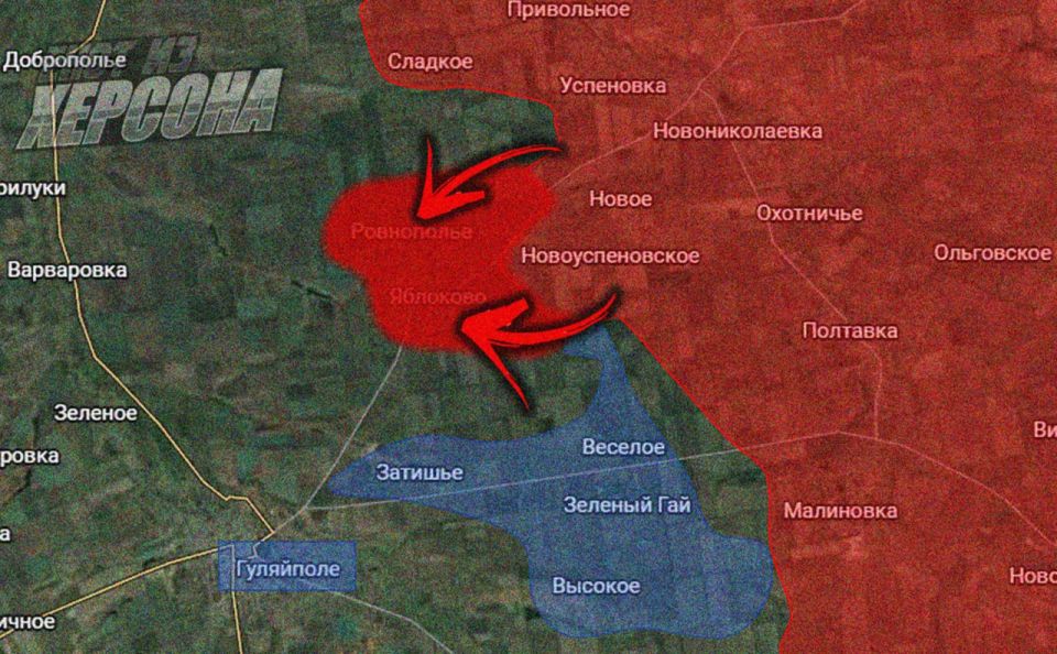 Енот из Херсона: В той же Запорожской области, но на другом участке фронта