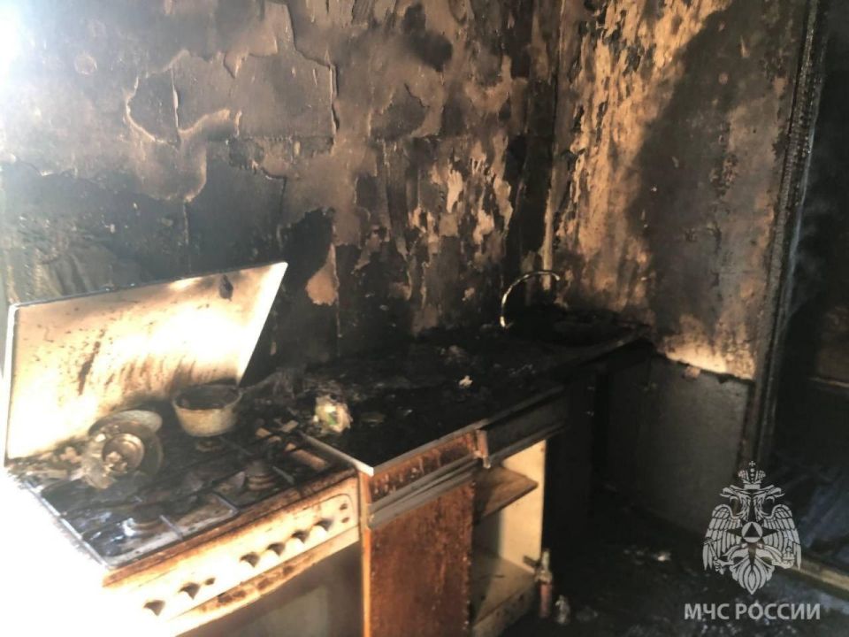 ����������� ���������� �� 15 ������ �� ���������� ���������� �������