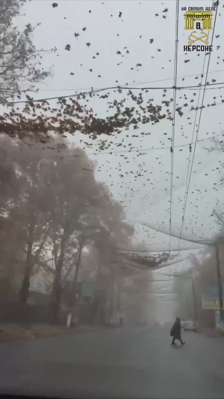 Осенняя меланхолия…. Город, когда-то полный сил и света, как будто застыл в меланхоличном молчании