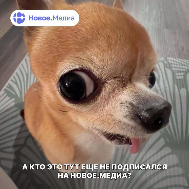 �� ��� �� ���������� �� �����.����� � ����������?