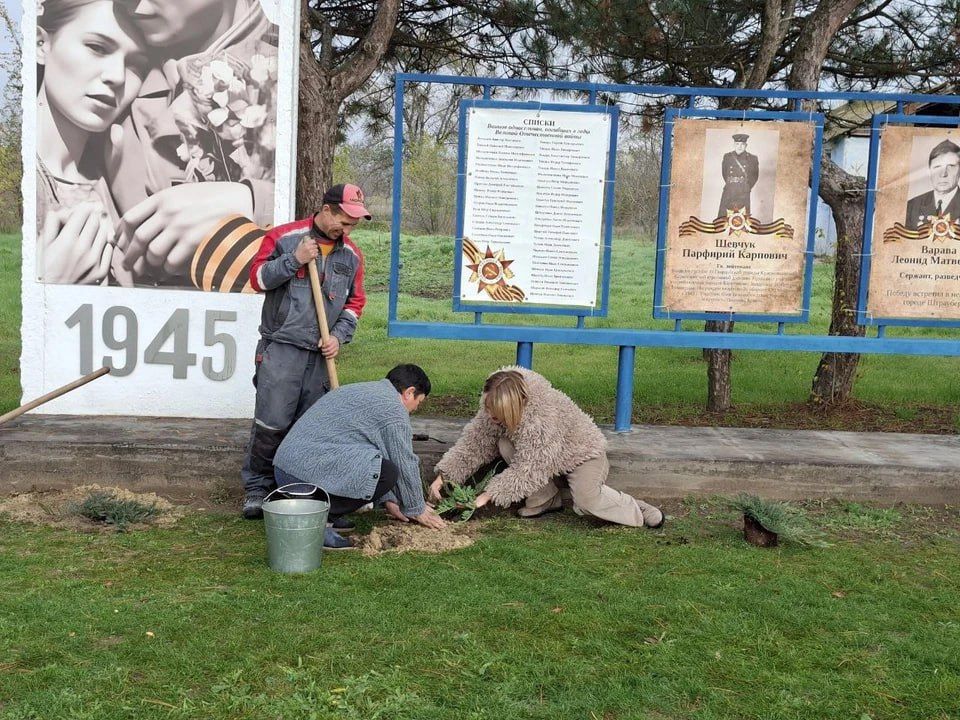 В Васильевке высадили можжевельники у Аллеи Славы в память о героях войны