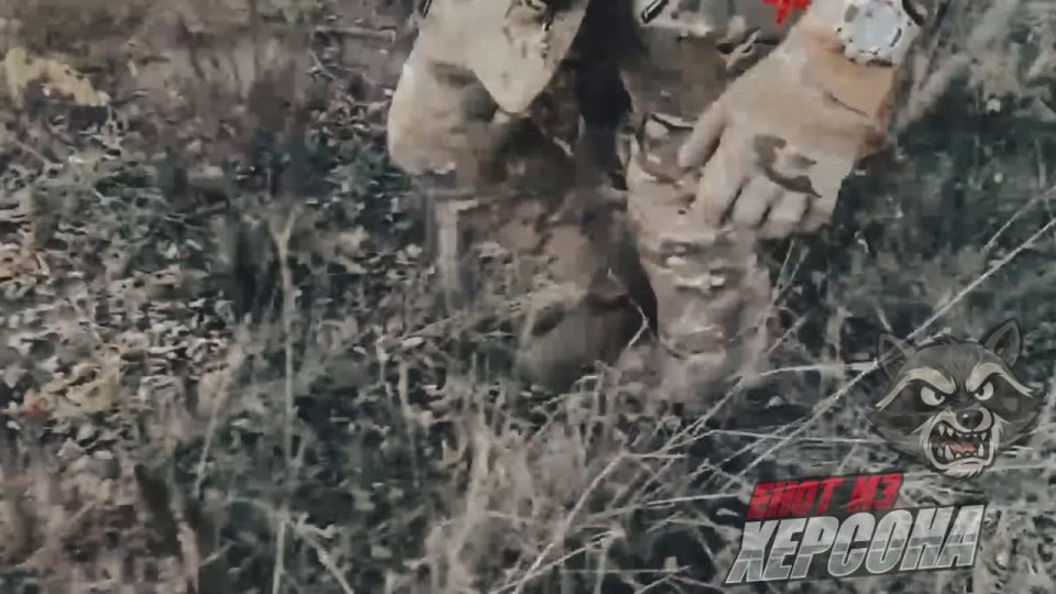   :   &quot;&quot;         10-     