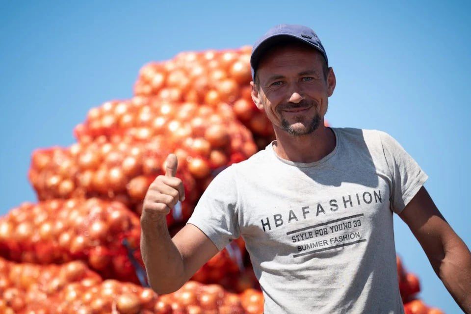 Фермеры Херсонщины рассказали, почему выбирают свеклу «Пабло» и «Камаро», а капусту – «Лексикон» и «Профессор»