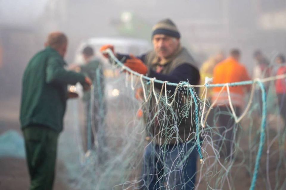 � ��, ��� ����� ����?. �������, �� ����� ���� ���������� �������� ����� � ������� ������ �� ������, ����� ����� ���� ��������� ������, ����������� ���� ���������� ����