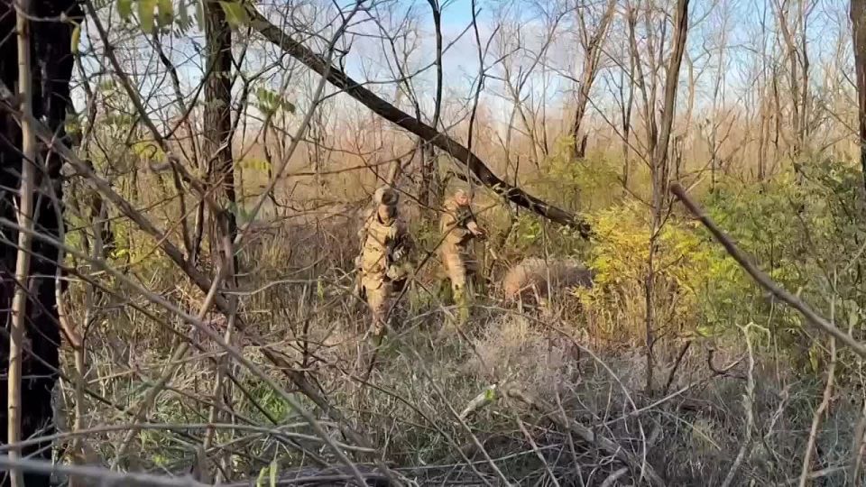   &quot;&quot;        10     ,    