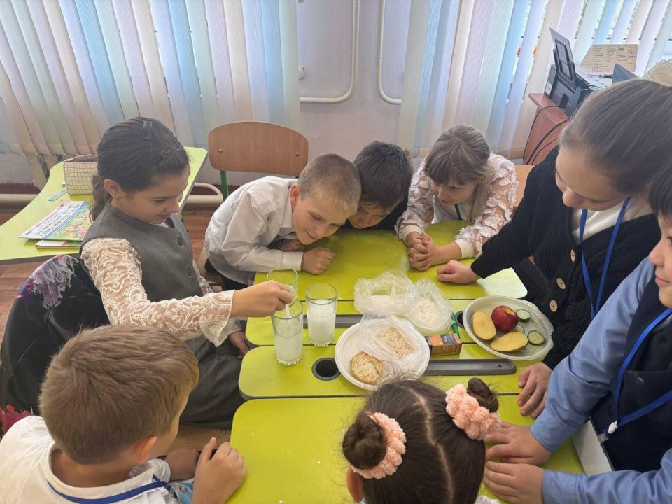 ������������� ���� �������� ��� ����������������: ��������� ������� � ��������� �������