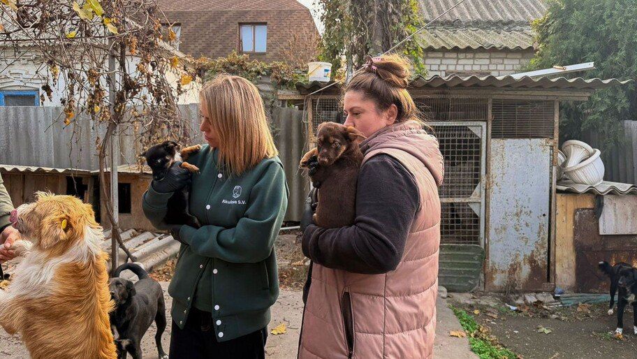 ���������� ������� � ���������� ��������-���� ����� ������������ �������������