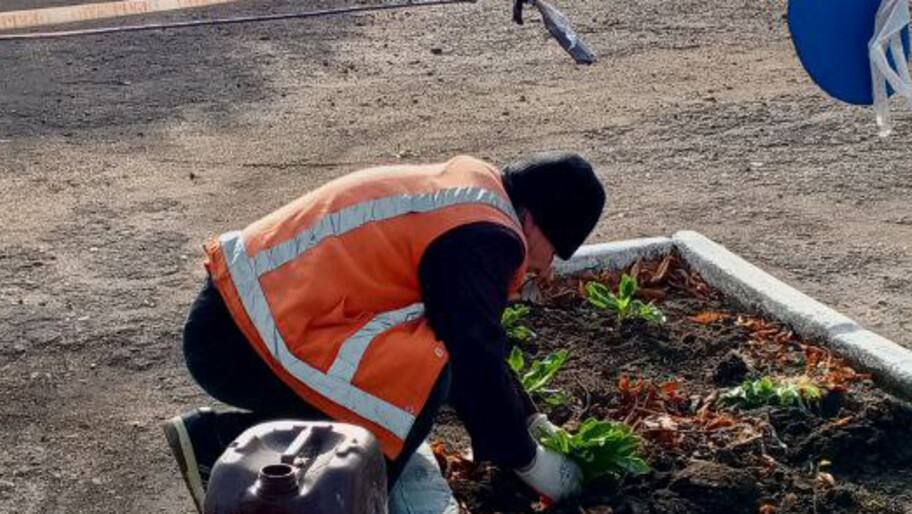 ������ ���� �������� ���������� ������� ������� �������� ����� �����, ����������� ������ ������� ������������� �����