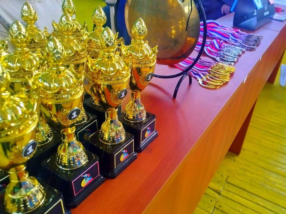 Турнир по самбо в Новотроицком собрал более 40 спортсменов