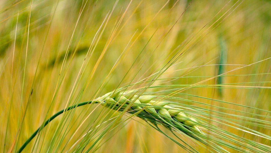 ����������� �������� � ���������� ������� ��������� 21 ������� � �������