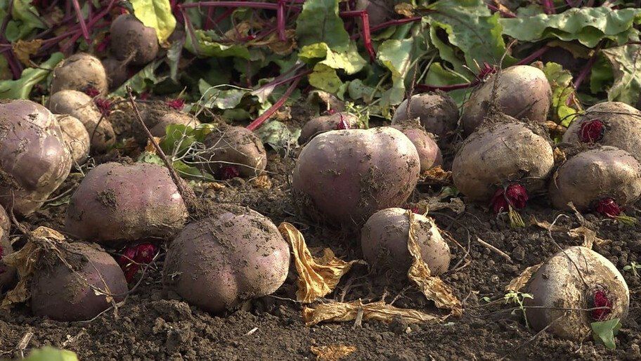 ������� ���������� ������� ��������� ���������� ����������� ������� � ����� � ������