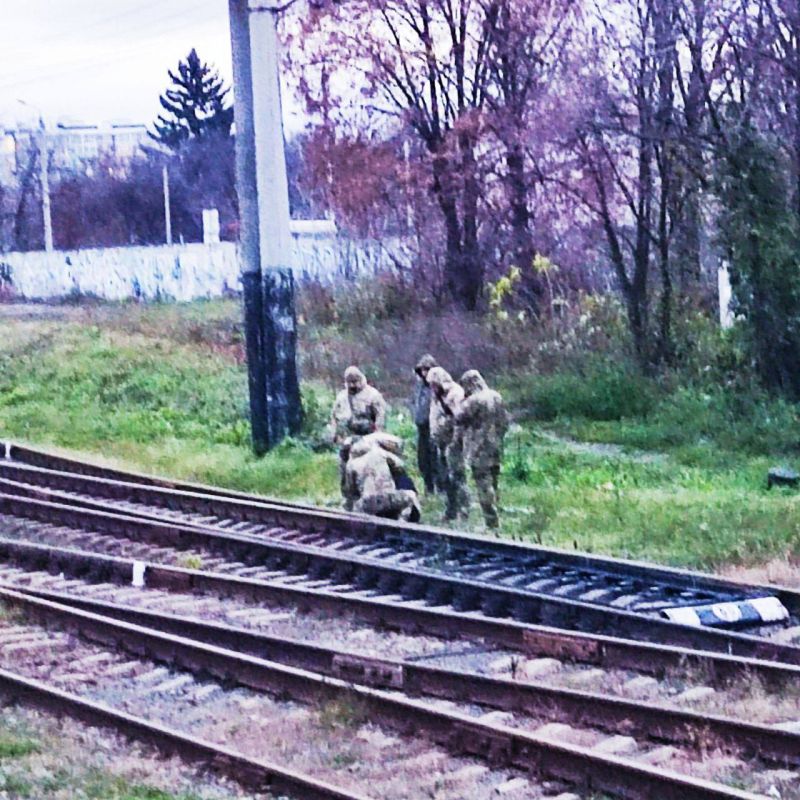 ����. ���� ���.... ��������-����� ���������� �������