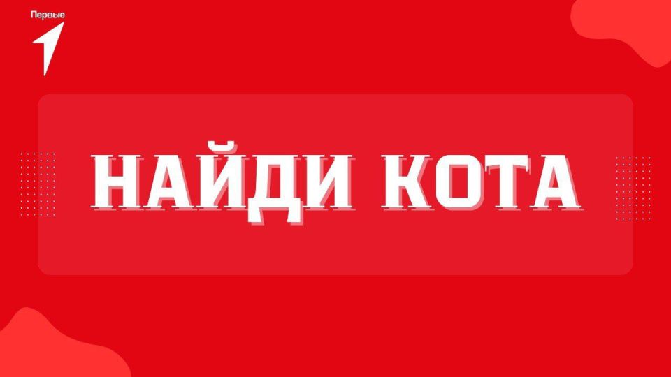 ������ �����-������ � ����, ��� ���� ������ ������ ��������?