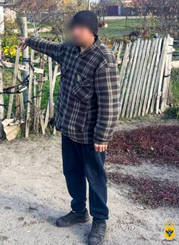 В Алешкинском округе задержан подозреваемый в краже мобильного телефона