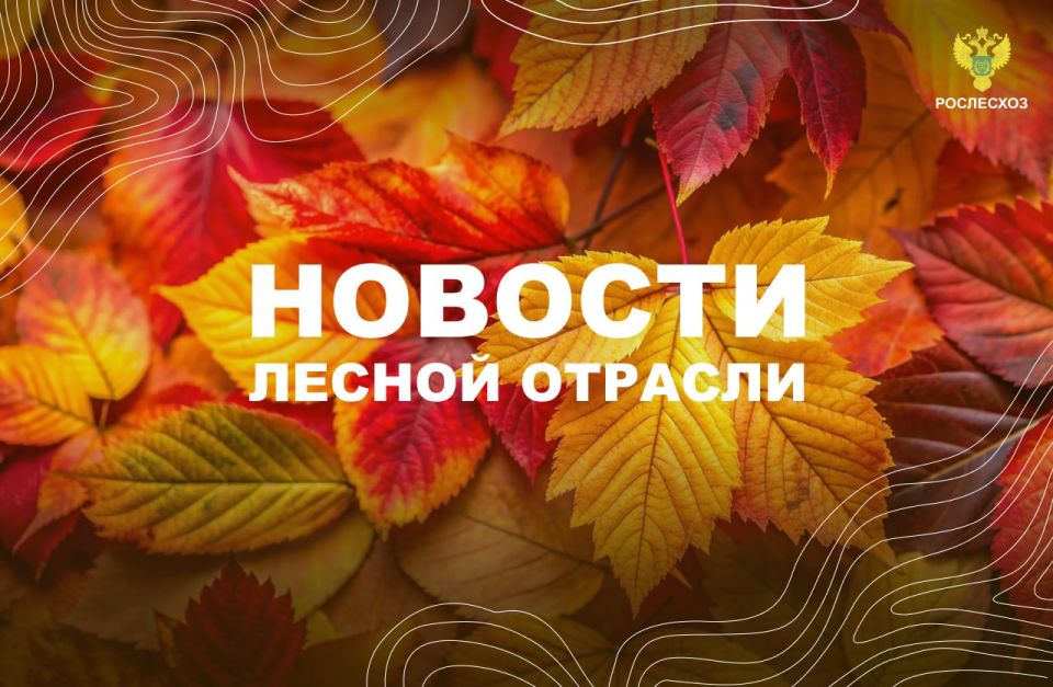 ����: ��������� �������� 5,6 ���� ������ ��� ���������� ����� ��� ������� �������