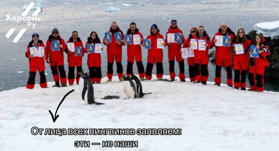 Затерянная в антарктических льдах кучка пингвинов украинцев устроила грандиозную акцию (нет)