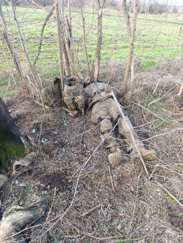 ��� ���������� ������. ��������-����� ���������� �������