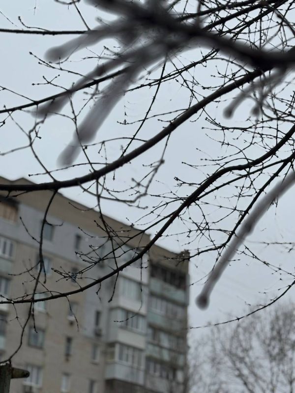 Доброе утро!. Просыпаемся с хорошими мыслями? А мы вот задумались: сегодня, 22 ноября, в России отмечается День психолога! Давайте на минуту представим, что наша психика — это такой же важный орган, как сердце