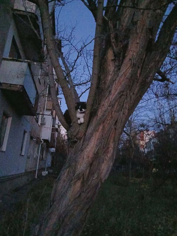 Доброе утро, Херсонщина!.