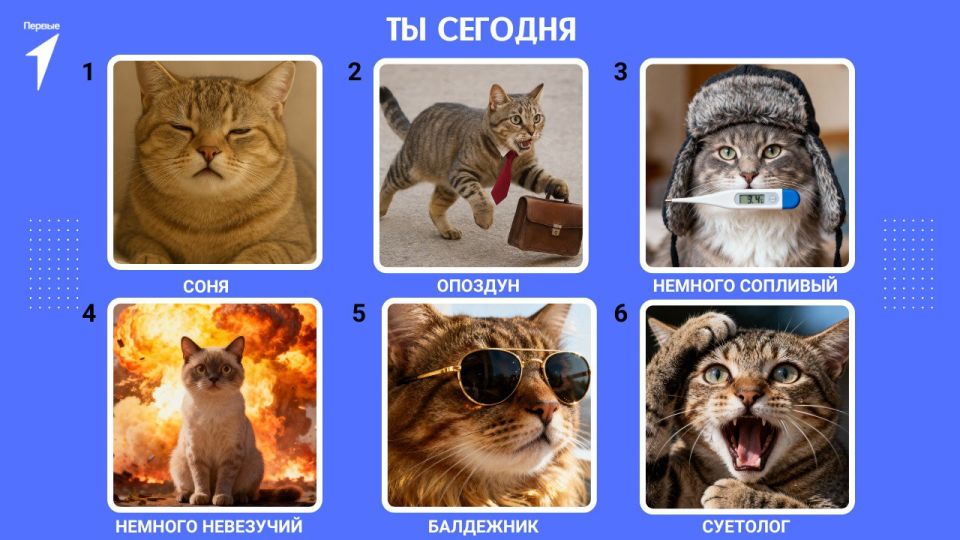    ?.  ,   ,    , ,   ,           ?   ...