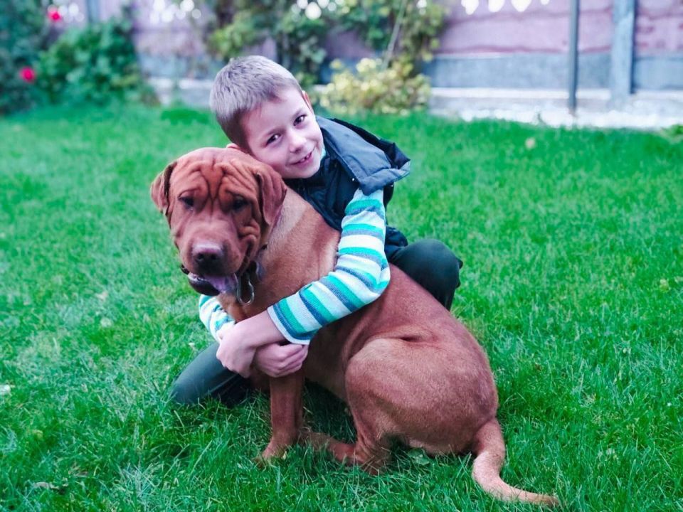    .      ,   30 ,       ,   