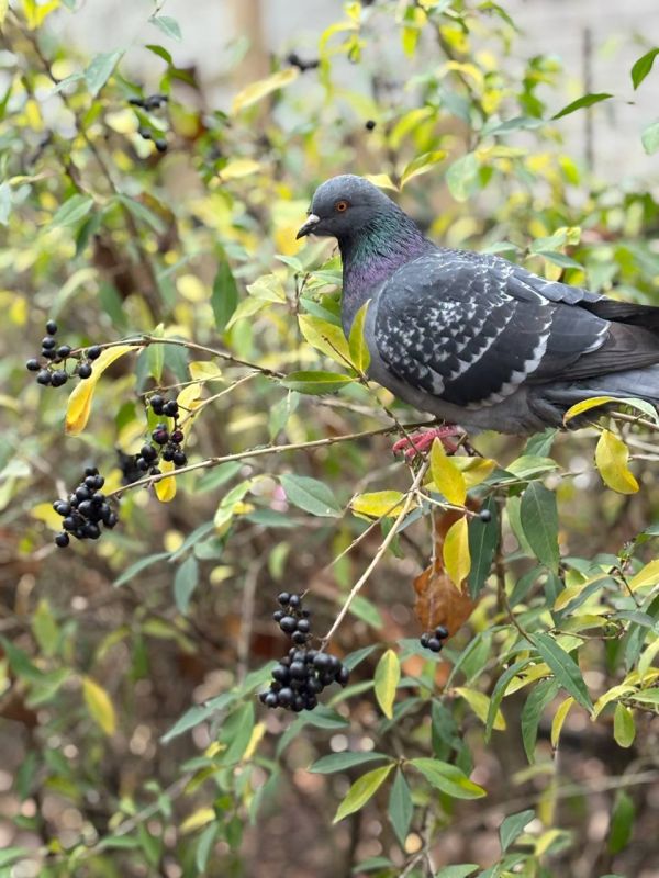 Доброе утро!. Просыпается солнце и город постепенно наполняется звуками нового дня