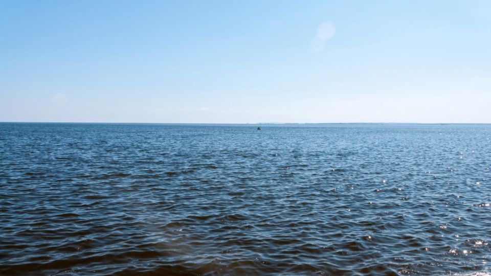 Академик объяснил, почему от Херсона зависит судьба всего Донбасса