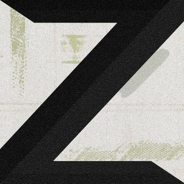      2024     55-       ()