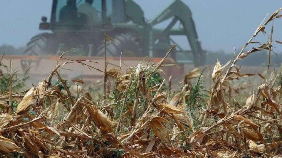 Экономическая ситуация в Херсонской области продолжает ухудшаться