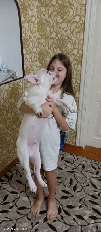    .            !   ,     .           ...