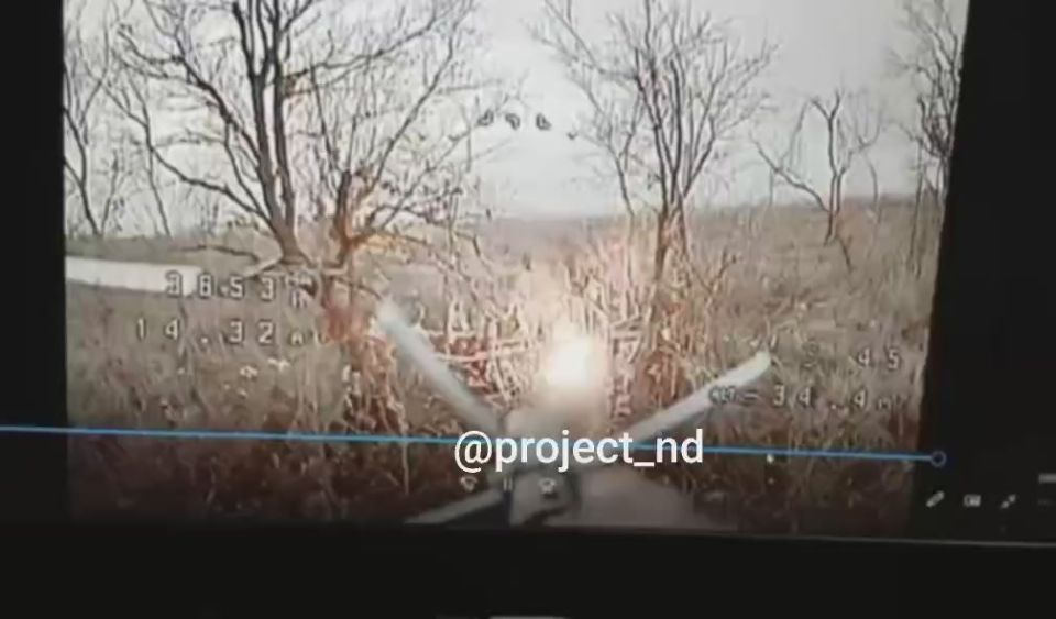 ����������� ������ ���������� ���� ��� ��������������� "�����" ������������ �� ���������������� �����������