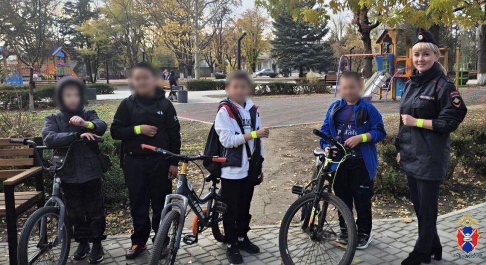 В Чаплынском округе сотрудники Госавтоинспекции провели профилактическую акцию «Засветись! Стань заметнее на дороге»