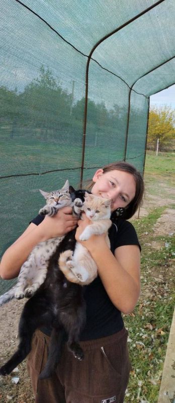 ������ � �� �������. ����� ������ � �� ������� �������! ��� ����� ��� �� ������ ����� �������? ���� | �� | �� | ��� #��������������