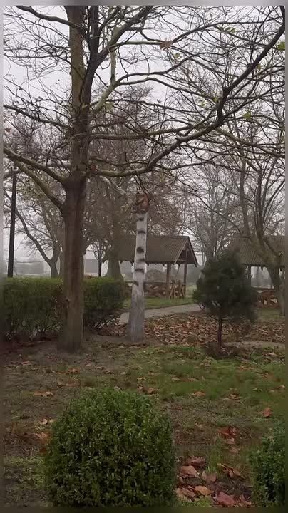 ����� �� ����� ������� � ���� ���� ����������� �� ��������������� ��������� ������ ����� � ����� ������� � ���� ���������������� ���������� �������� ��� �������