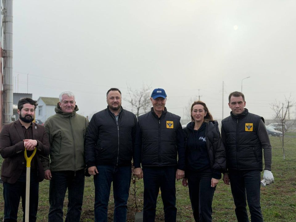 В Херсонской области высадили аллею платанов