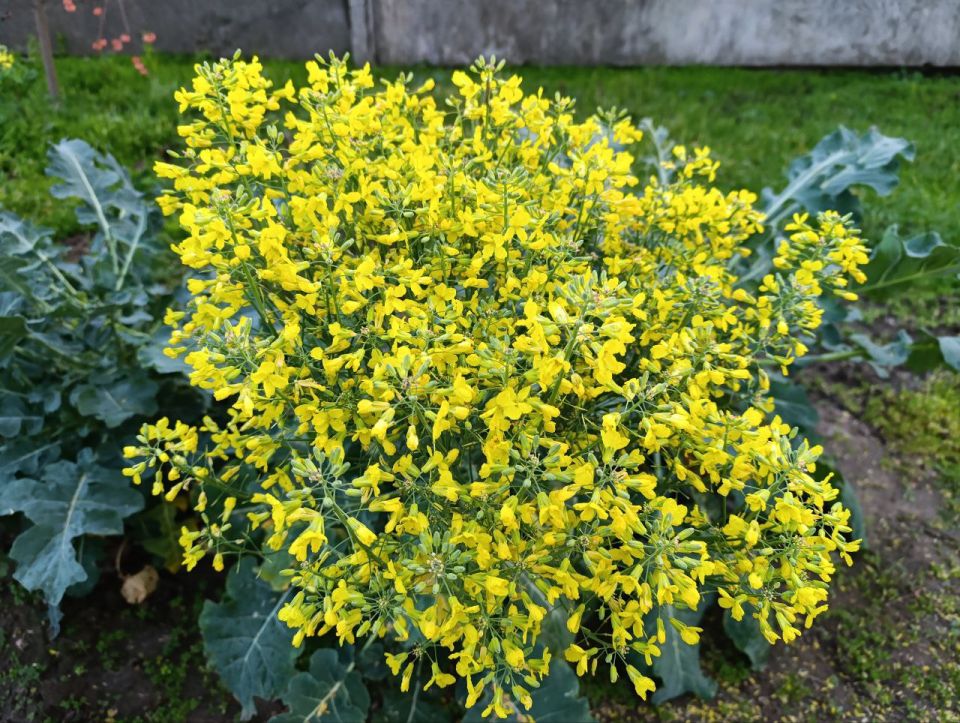 Доброе утро, жители Каховского муниципального округа!
