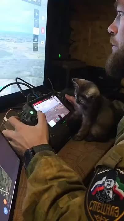 ���� ������ � ������ ����� ������, ��������� �����! �� ����� ������������, ���� ����� �������� ���������, ����� �� ���� ����� ������ ������ �� ��������