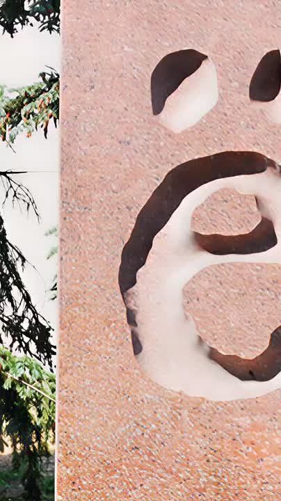 ���� ���� � ������� ������