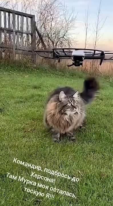 Командир, подбрось до Херсона..))