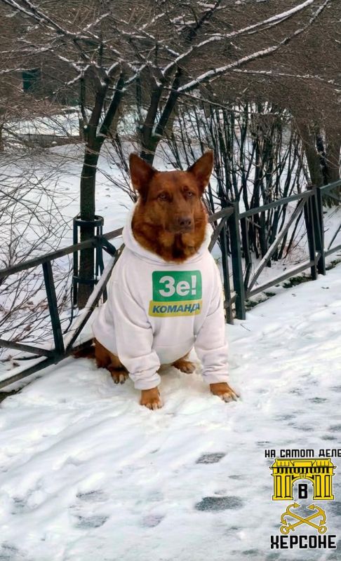 Украинцы нашли применение одежде, которую стыдно носить